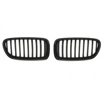 Grille de radiateur BLIC 6502-07-0067994KP