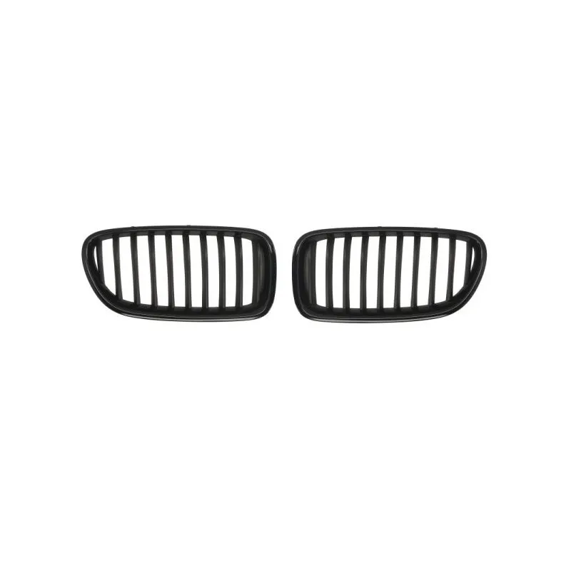 Grille de radiateur BLIC 6502-07-0067994KP