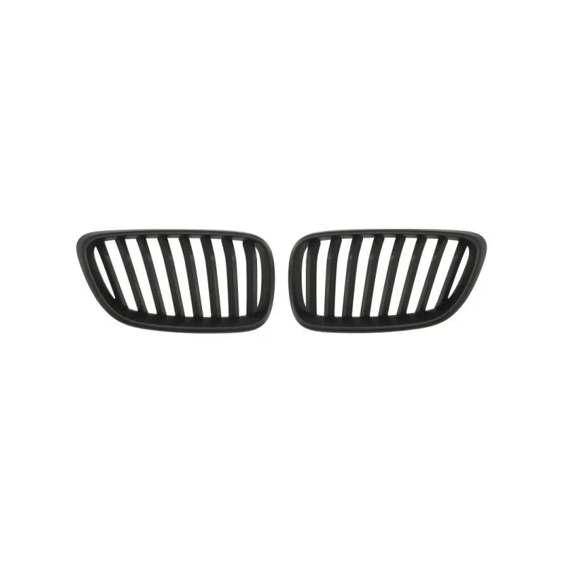 Grille de radiateur BLIC 6502-07-0069994P