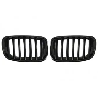 Grille de radiateur BLIC 6502-07-0096990KP