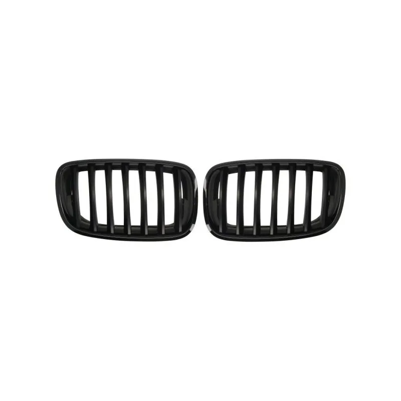 Grille de radiateur BLIC 6502-07-0096990KP