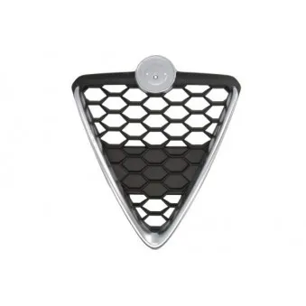 Grille de radiateur BLIC 6502-07-0105999P