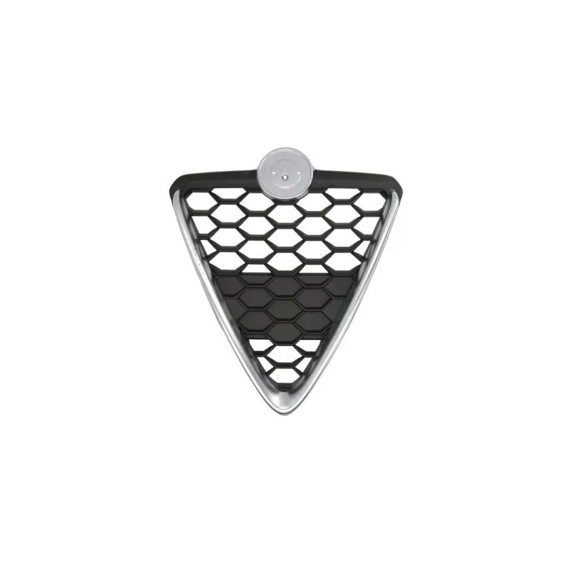 Grille de radiateur BLIC 6502-07-0105999P