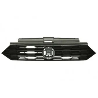 Grille de radiateur BLIC 6502-07-0395990P