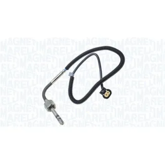 Capteur, température des gaz MAGNETI MARELLI 172000023010