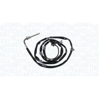 Capteur, température des gaz MAGNETI MARELLI 172000031010