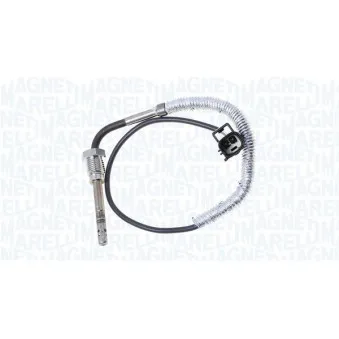 Capteur, température des gaz MAGNETI MARELLI 172000089010