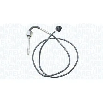 Capteur, température des gaz MAGNETI MARELLI 172000119010