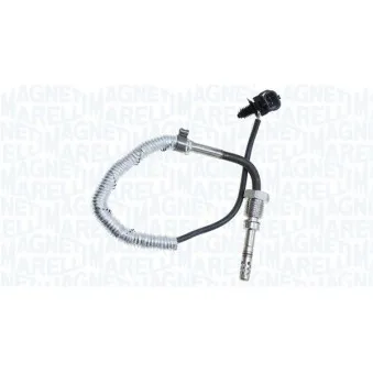 Capteur, température des gaz MAGNETI MARELLI 172000141010