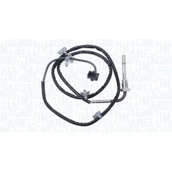 Capteur, température des gaz MAGNETI MARELLI 172000143010
