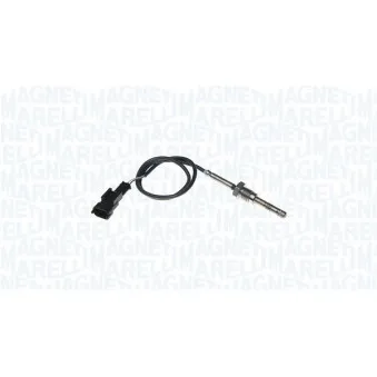 Capteur, température des gaz MAGNETI MARELLI 172000223010