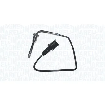 Capteur, température des gaz MAGNETI MARELLI 172000243010
