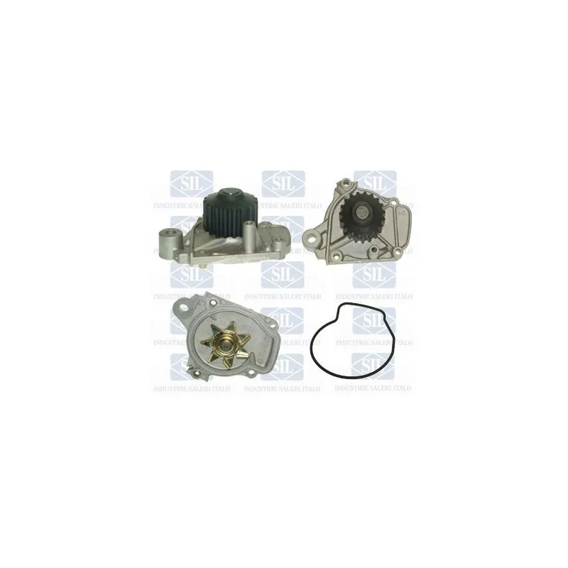 Pompe à eau Saleri SIL PA1011