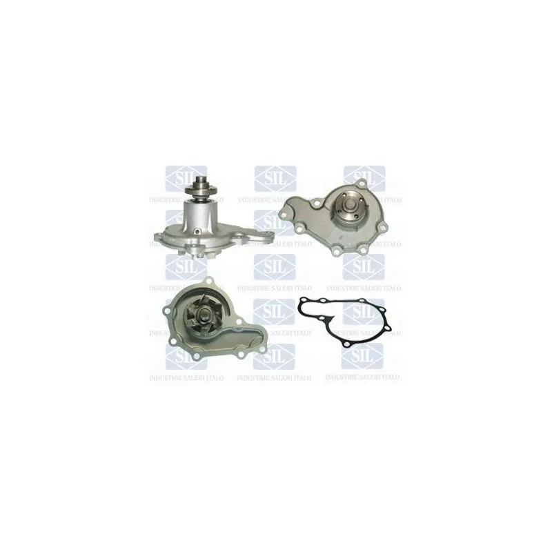 Pompe à eau Saleri SIL PA1019