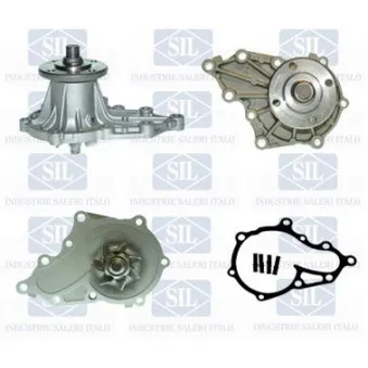 Pompe à eau Saleri SIL