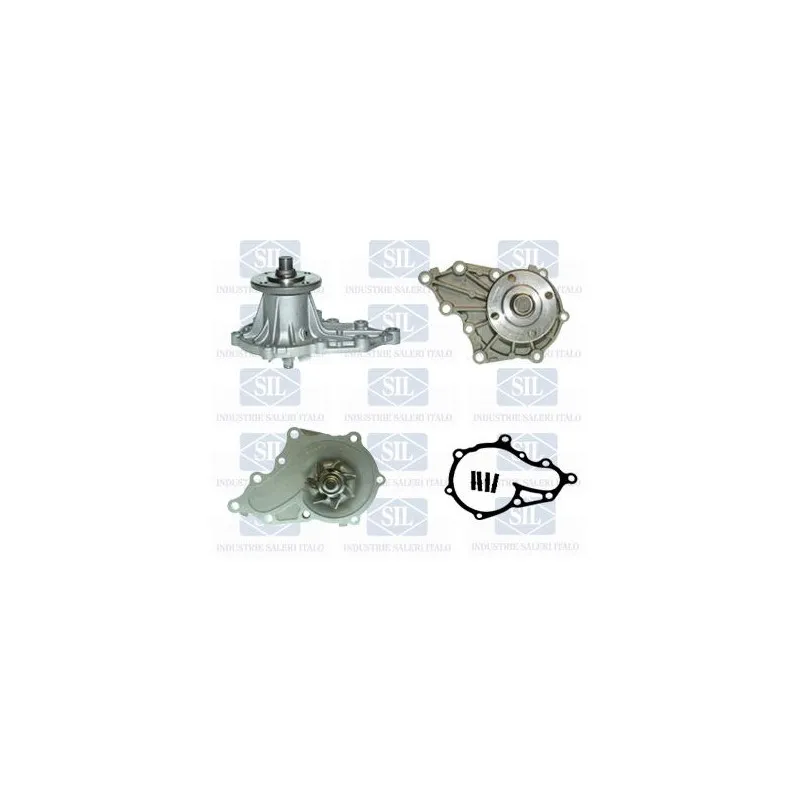 Pompe à eau Saleri SIL PA1031