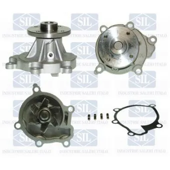 Pompe à eau Saleri SIL PA1041