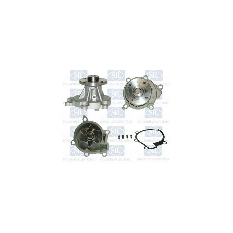 Pompe à eau Saleri SIL PA1041