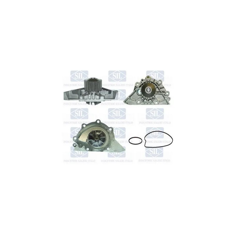 Pompe à eau Saleri SIL PA1055A