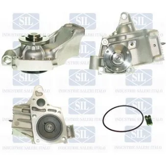 Pompe à eau Saleri SIL PA1057
