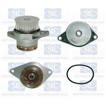 Pompe à eau Saleri SIL PA1060