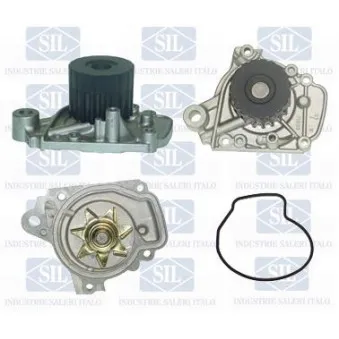 Pompe à eau Saleri SIL PA1075
