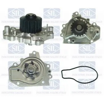 Pompe à eau Saleri SIL PA1076