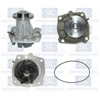 Pompe à eau Saleri SIL PA1117