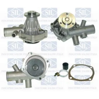 Pompe à eau Saleri SIL PA1118