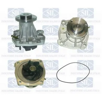Pompe à eau Saleri SIL PA1126