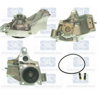 Pompe à eau Saleri SIL PA1128