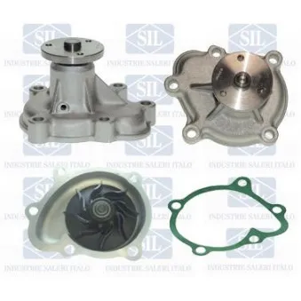 Pompe à eau Saleri SIL PA1134A