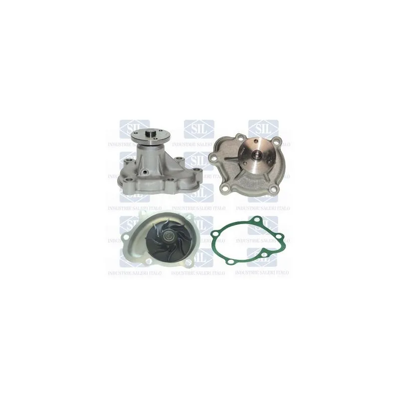 Pompe à eau Saleri SIL PA1134A