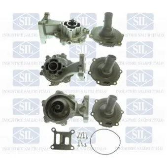 Pompe à eau Saleri SIL PA1135BH