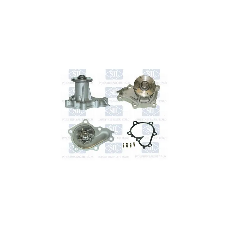 Pompe à eau Saleri SIL PA1140