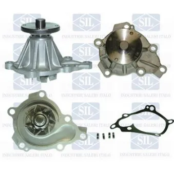 Pompe à eau Saleri SIL PA1141