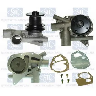 Pompe à eau Saleri SIL PA115P