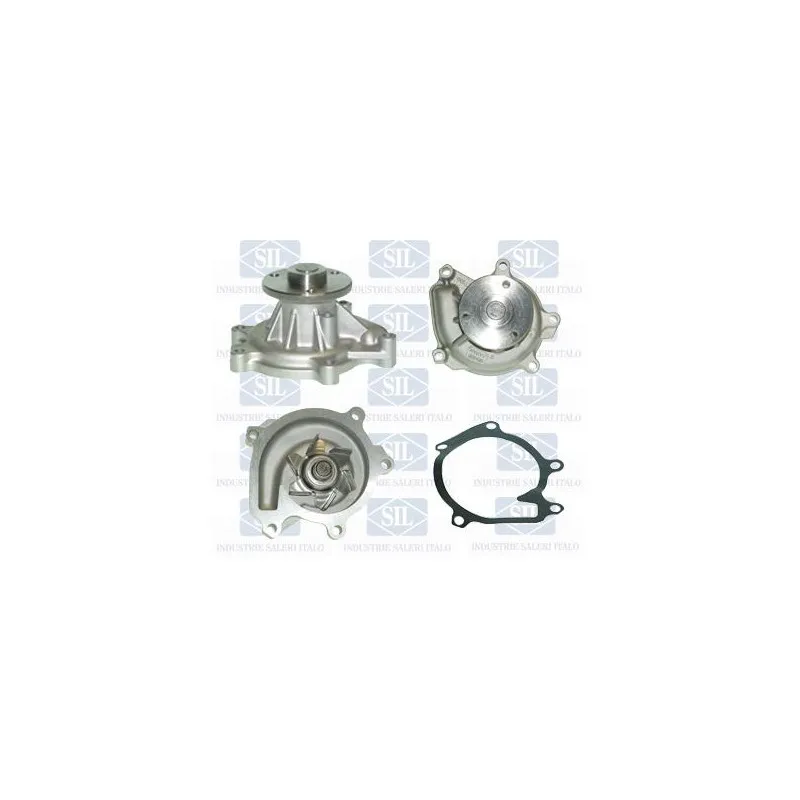 Pompe à eau Saleri SIL PA1160