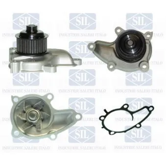 Pompe à eau Saleri SIL PA1167