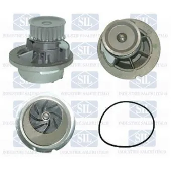 Pompe à eau Saleri SIL PA1216