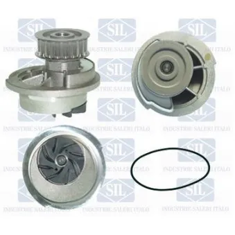 Pompe à eau Saleri SIL PA1217