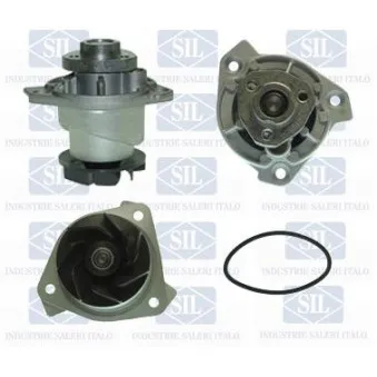 Pompe à eau Saleri SIL PA1232