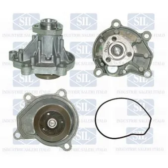 Pompe à eau Saleri SIL PA1233