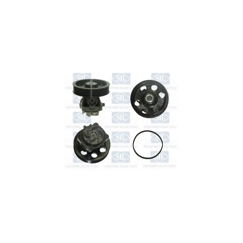 Pompe à eau Saleri SIL PA1237