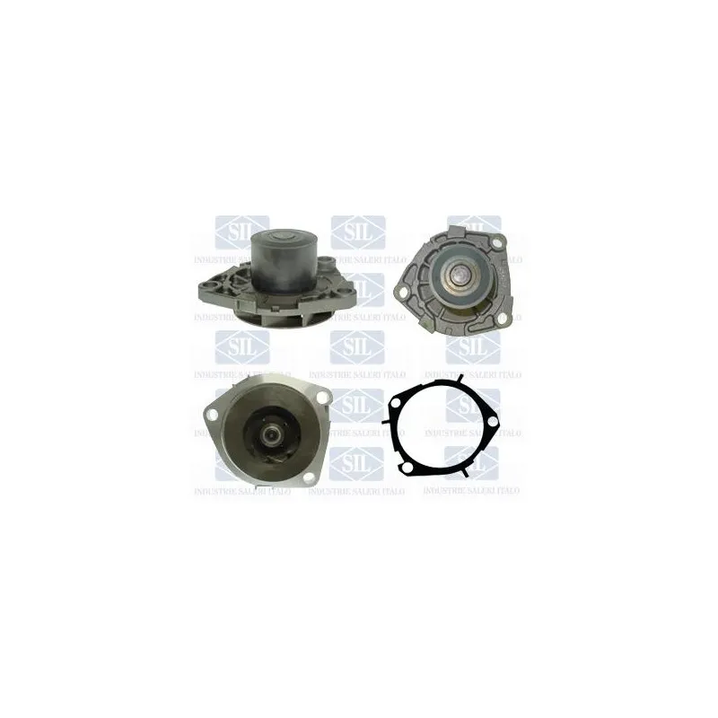 Pompe à eau Saleri SIL PA1246A