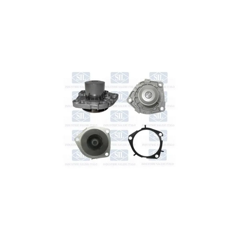 Pompe à eau Saleri SIL PA1246A1
