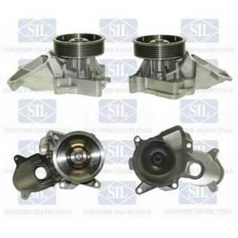 Pompe à eau Saleri SIL PA1248