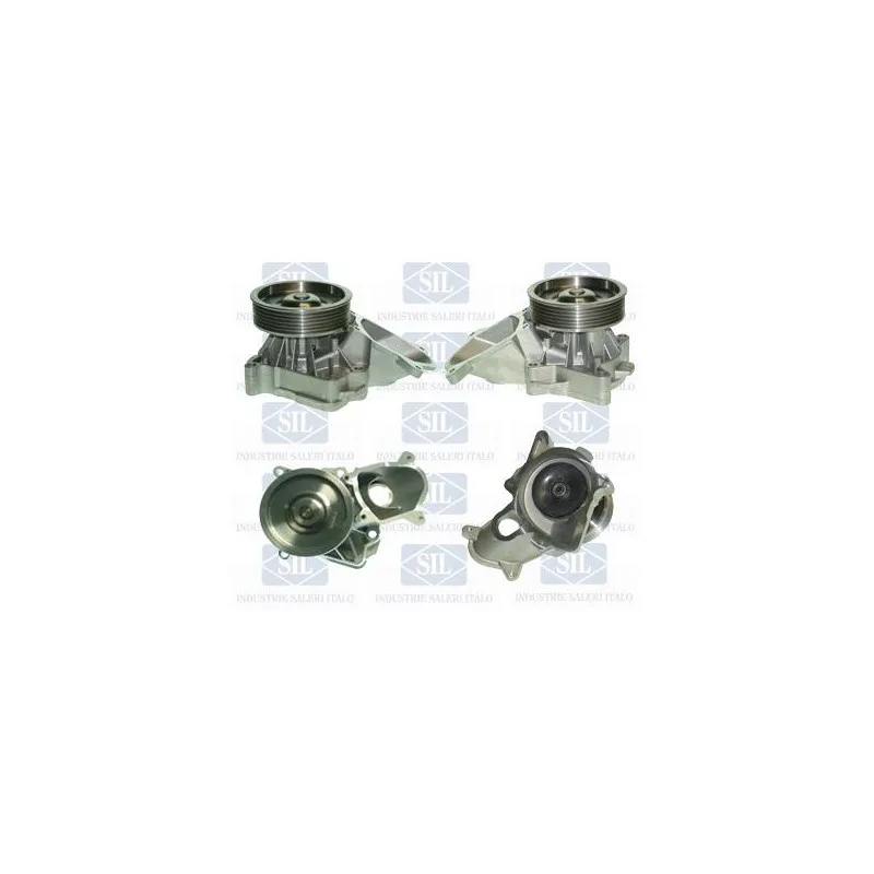 Pompe à eau Saleri SIL PA1249