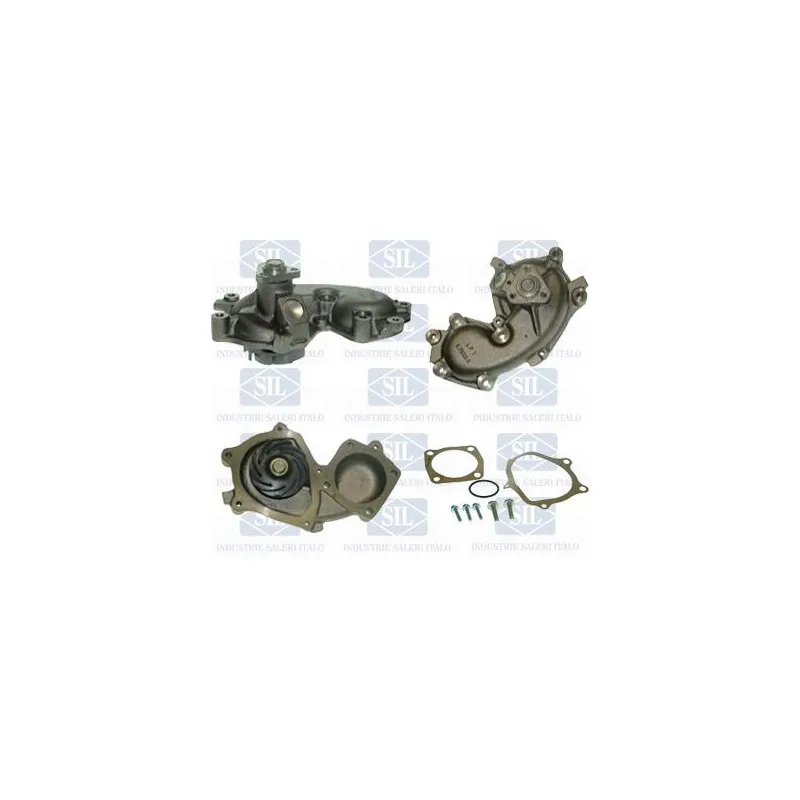Pompe à eau Saleri SIL PA1250