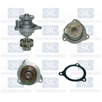 Pompe à eau Saleri SIL PA1253
